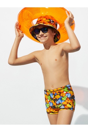 Плавки-шорты для мальчика Noble People (Россия) Разноцветный