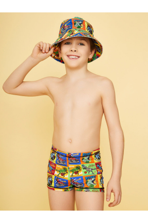 Плавки-шорты для мальчика Noble People (Россия) Разноцветный
