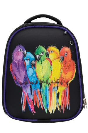 Ранец для детей BagRio (Россия) Разноцветный