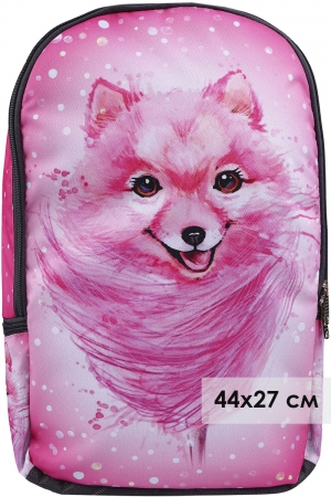 Рюкзак для девочки BagRio (Россия) Розовый