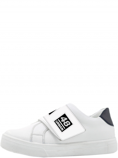 ����������� ���� �����