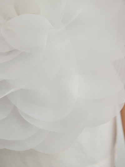 �������� �������� �����