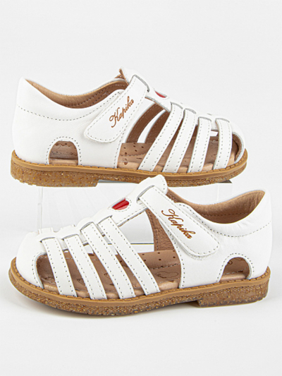 �������� �������� �����